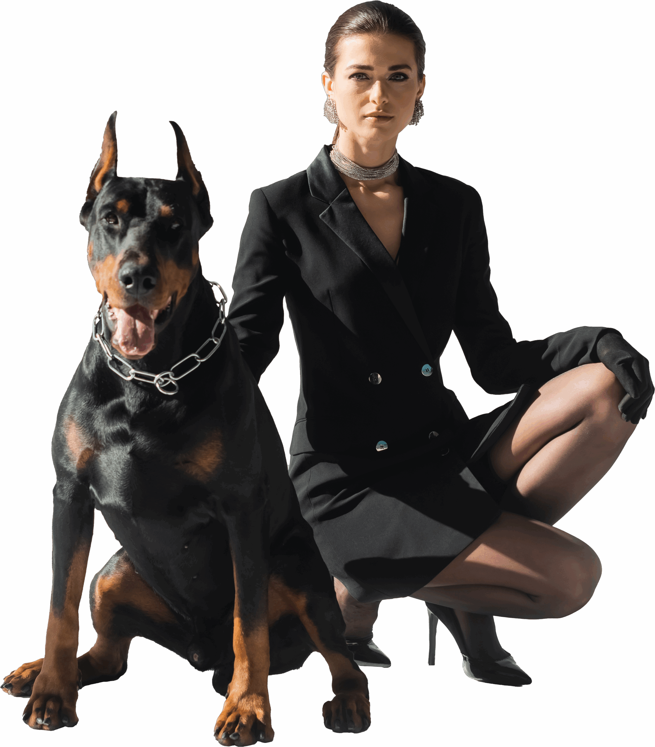 Where Canine Excellence meets High Fashion